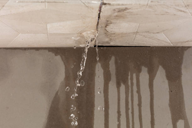 Professional Water Damage Repair technician working in McDonough, GA